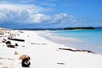 Weißer Strand Madagaskar