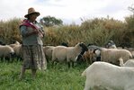 Bäuerin in der Atacama Region