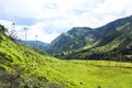 Cocora Valley, which is nestled between the mountains of the Cordillera Central in Colombia.