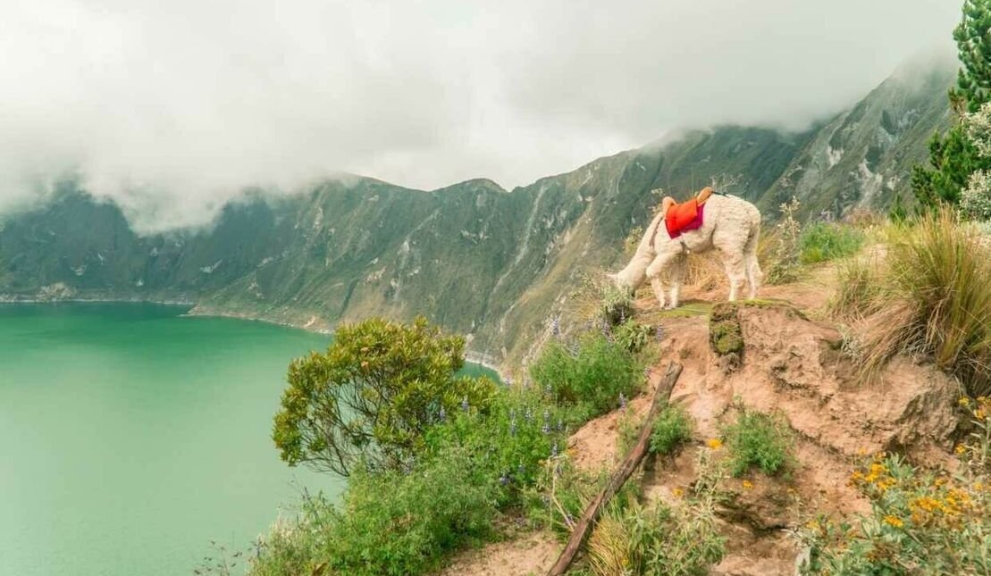 Atemberaubende Natur Ecuadors