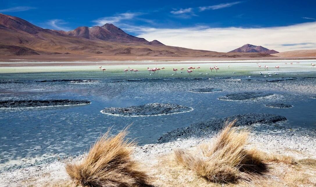 laguna-hedionda-und-flamingos_miller-reisen