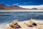 laguna-hedionda-und-flamingos_miller-reisen