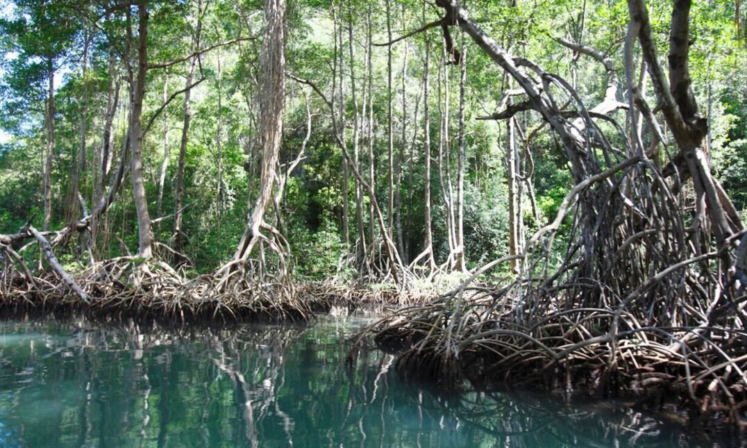 Samanás Naturerlebnisse