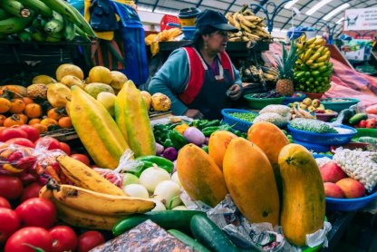 Die ecuadorianischen Anden & Galápagos