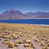 Laguna Miscanti in der Altiplano Hochebene