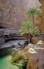 Wadi Shab im Oman