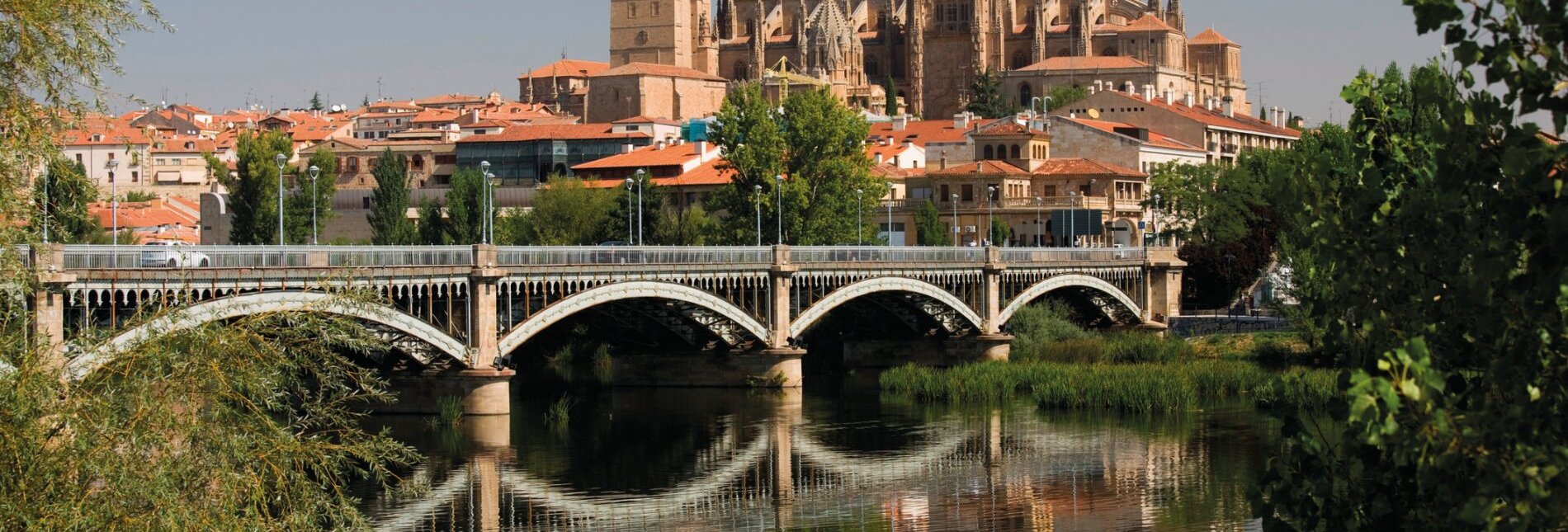 Blick auf Salamanca mit Kathedrale