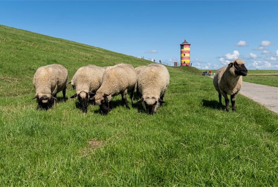 Ostfriesland - immer frischer Wind