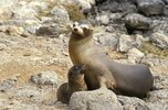 Die ecuadorianischen Anden & Galápagos