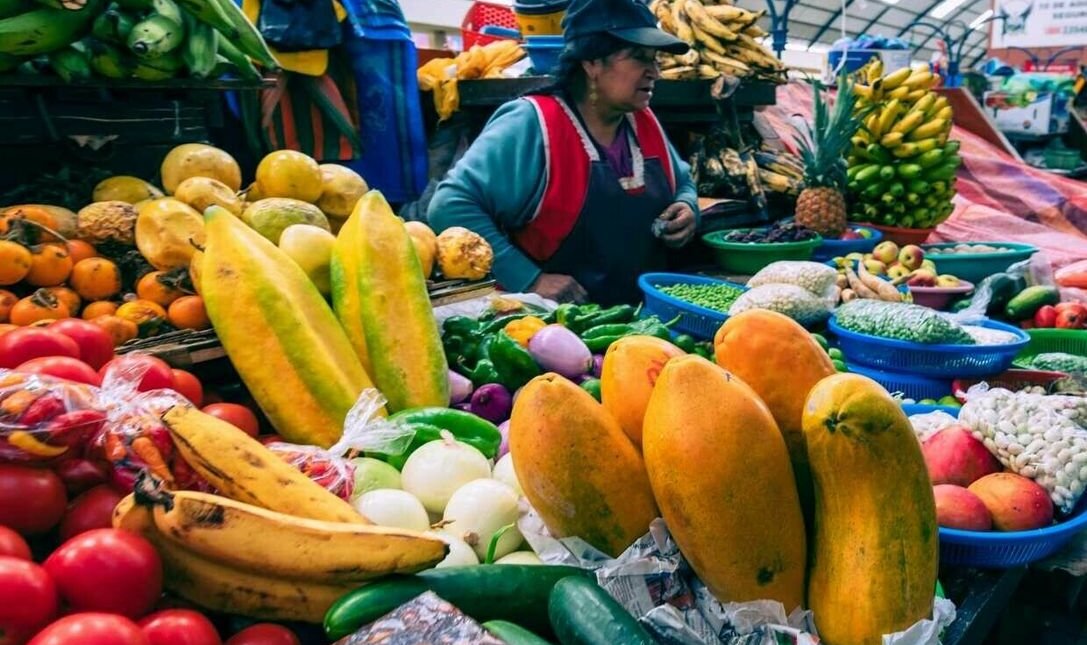 Die ecuadorianischen Anden & Galápagos