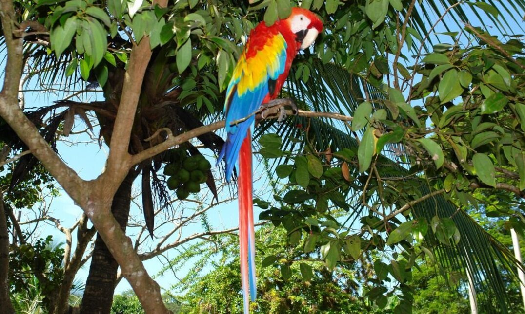 Seen, Vulkane und unberührte Natur